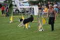 IMG_0306