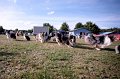 IMG_2156