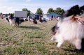 IMG_2159