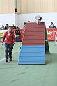 IMG_2872