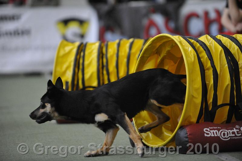 _GRS0052.JPG - Wintercup Austria 10. Januar 2010