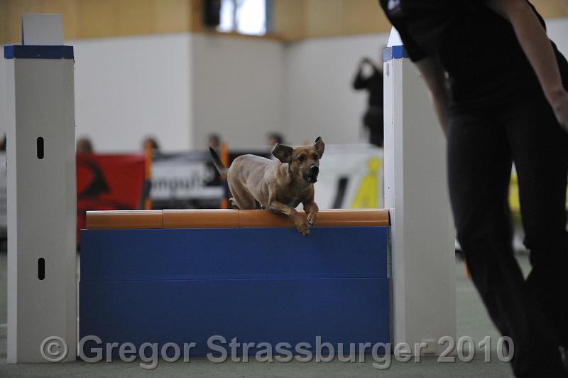 _GRS0495.JPG - Wintercup Austria 10. Januar 2010