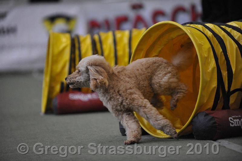 _GRS0975.JPG - Wintercup Austria 10. Januar 2010