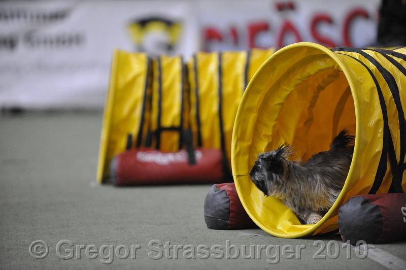 _GRS1167.JPG - Wintercup Austria 10. Januar 2010