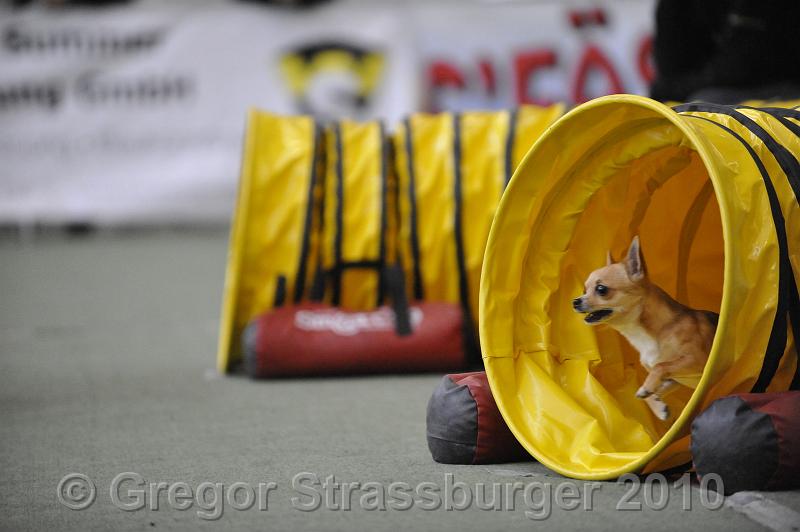 _GRS1183.JPG - Wintercup Austria 10. Januar 2010