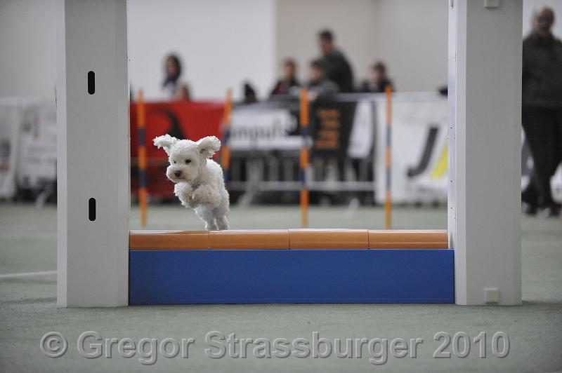 _GRS1196.JPG - Wintercup Austria 10. Januar 2010