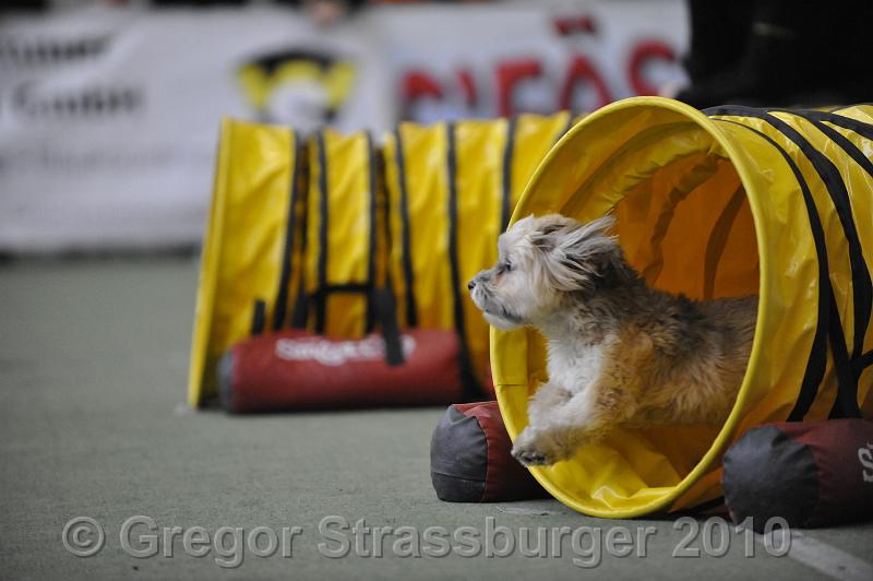 _GRS1230.JPG - Wintercup Austria 10. Januar 2010