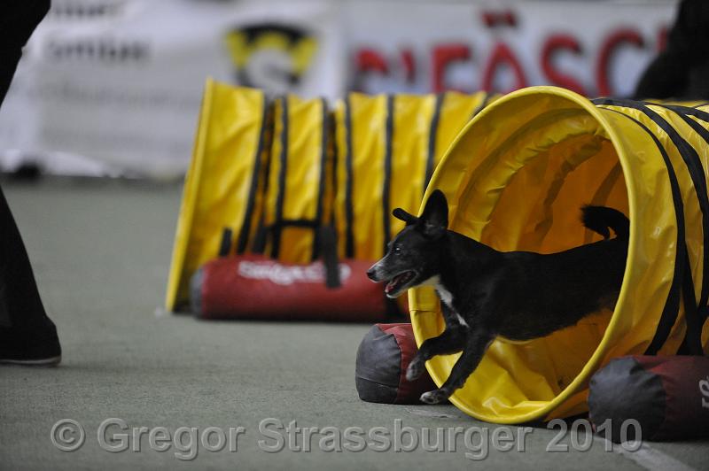 _GRS1263.JPG - Wintercup Austria 10. Januar 2010