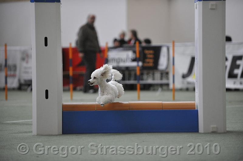 _GRS1279.JPG - Wintercup Austria 10. Januar 2010