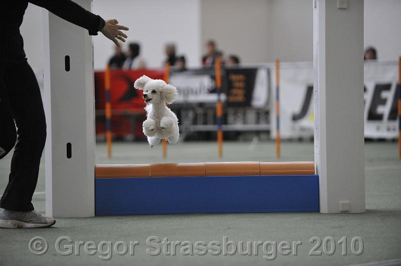 _GRS1282.JPG - Wintercup Austria 10. Januar 2010