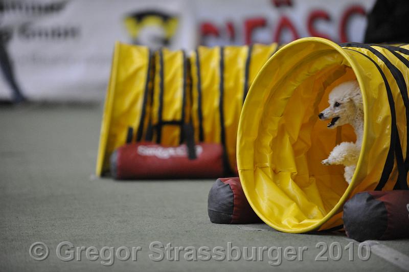 _GRS1283.JPG - Wintercup Austria 10. Januar 2010