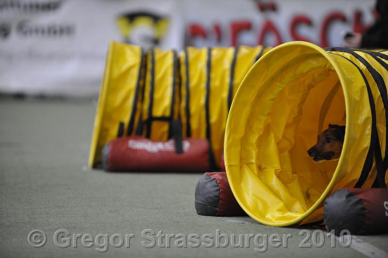 _GRS1382.JPG - Wintercup Austria 10. Januar 2010