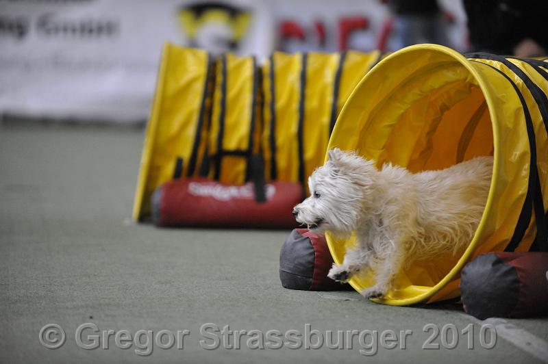 _GRS1400.JPG - Wintercup Austria 10. Januar 2010