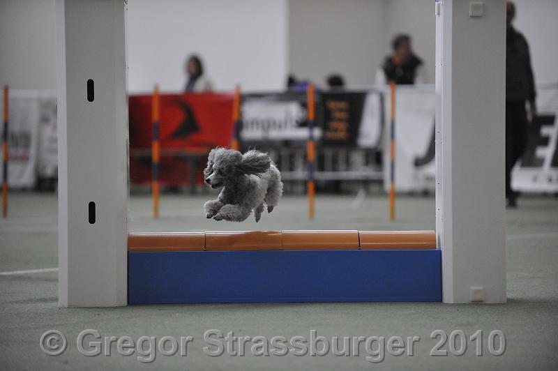 _GRS1477.JPG - Wintercup Austria 10. Januar 2010