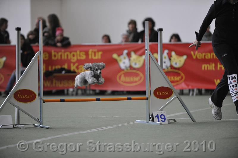 _GRS1478.JPG - Wintercup Austria 10. Januar 2010