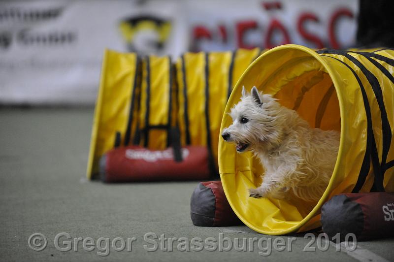 _GRS1498.JPG - Wintercup Austria 10. Januar 2010