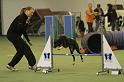 IMG_1645