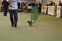IMG_1665