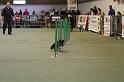 IMG_1670
