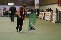 IMG_1677