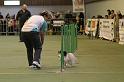 IMG_1684