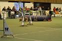 IMG_1690