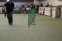 IMG_1692