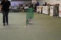 IMG_1695