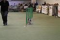 IMG_1696
