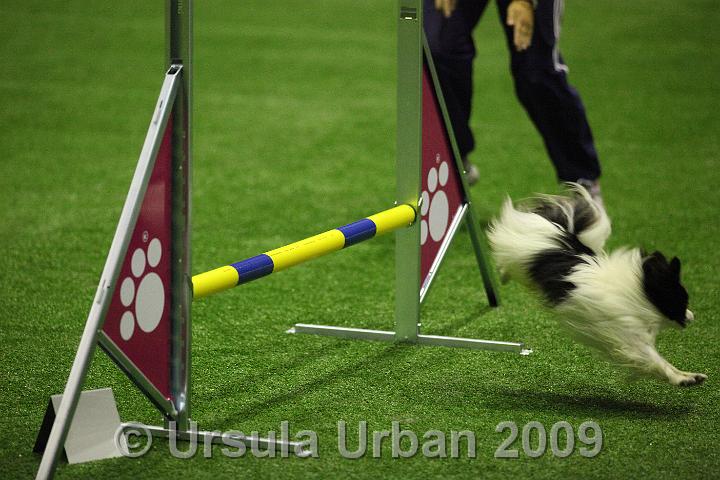 IMG_5373.JPG