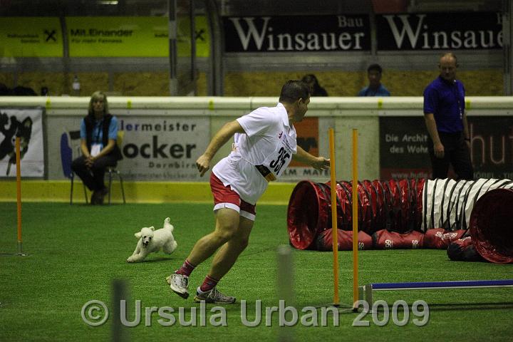 IMG_5428.JPG
