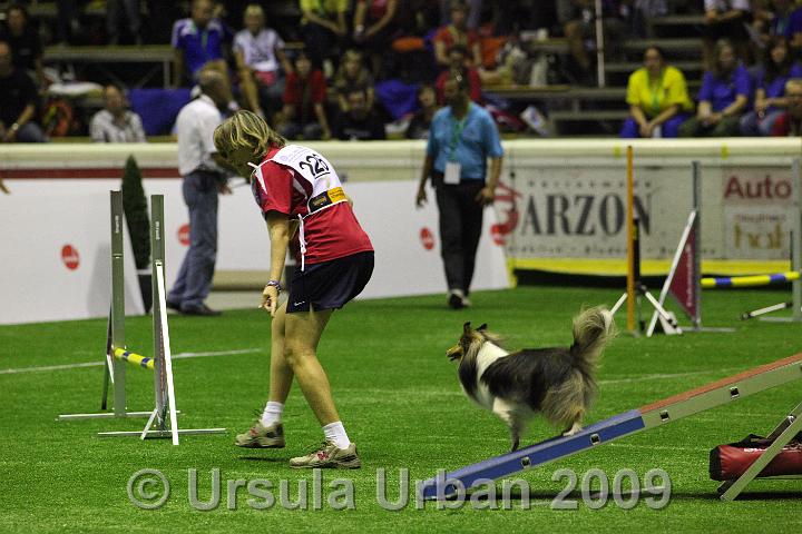 IMG_6335.JPG