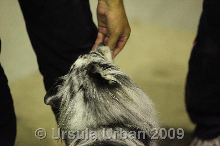 IMG_6390.JPG