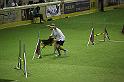IMG_5487