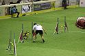 IMG_5523