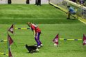 IMG_5556