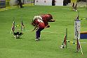 IMG_5558
