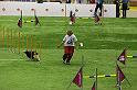 IMG_5563