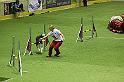 IMG_5565