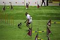 IMG_5579