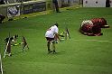 IMG_5590