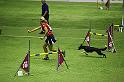 IMG_5774