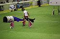 IMG_5841