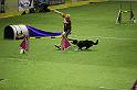 IMG_5979