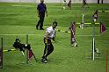 IMG_5985