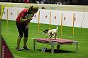 IMG_6341