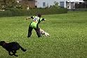IMG_8159