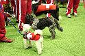 IMG_4504
