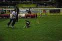 IMG_4584