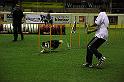 IMG_4585